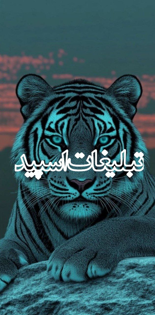 تیمارستان های مجازی😁
