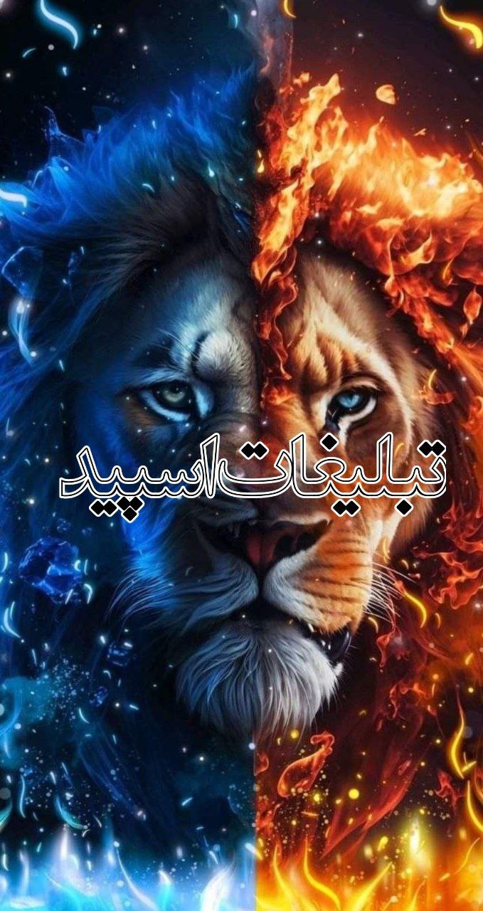 تبلیغات