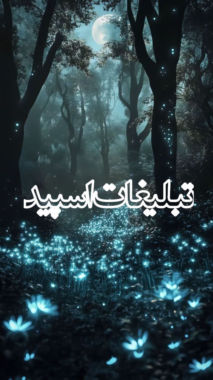 شبهای زیبای بندر عباس