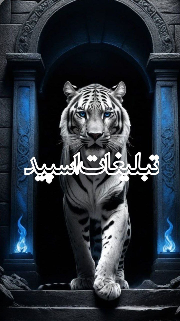 🕊♛ 𝕯𝑬𝐋 𝐂ⅈ𝑻Ꭹ ☬ (5)