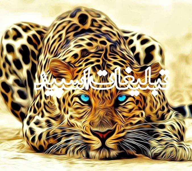 ❤️❤️ دریا دلان❤️❤️ (3)