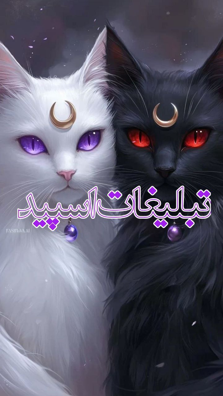 🌈 𝑳𝑰𝑽𝑬 𝑵𝑨𝑩✨ (19)