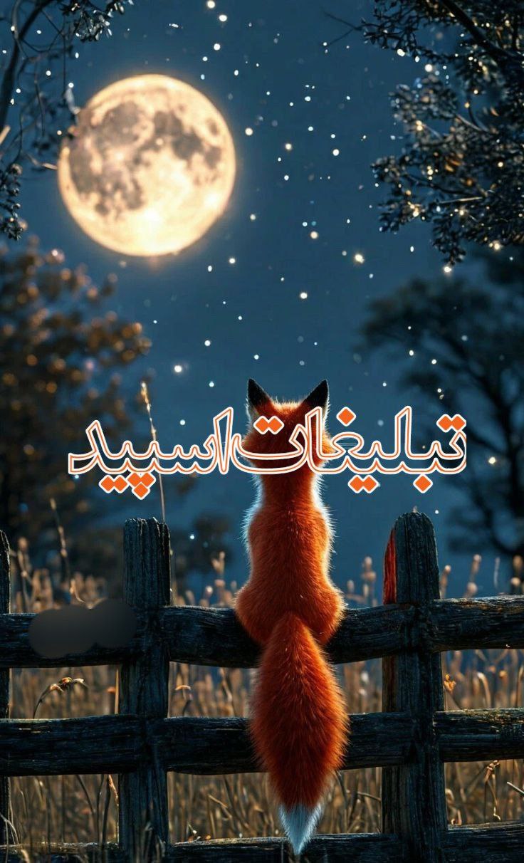 هتل سیلور لند (1)