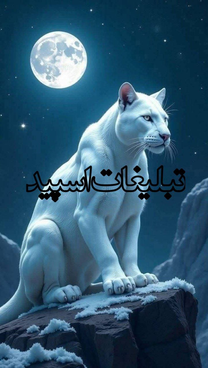 تبلیغات