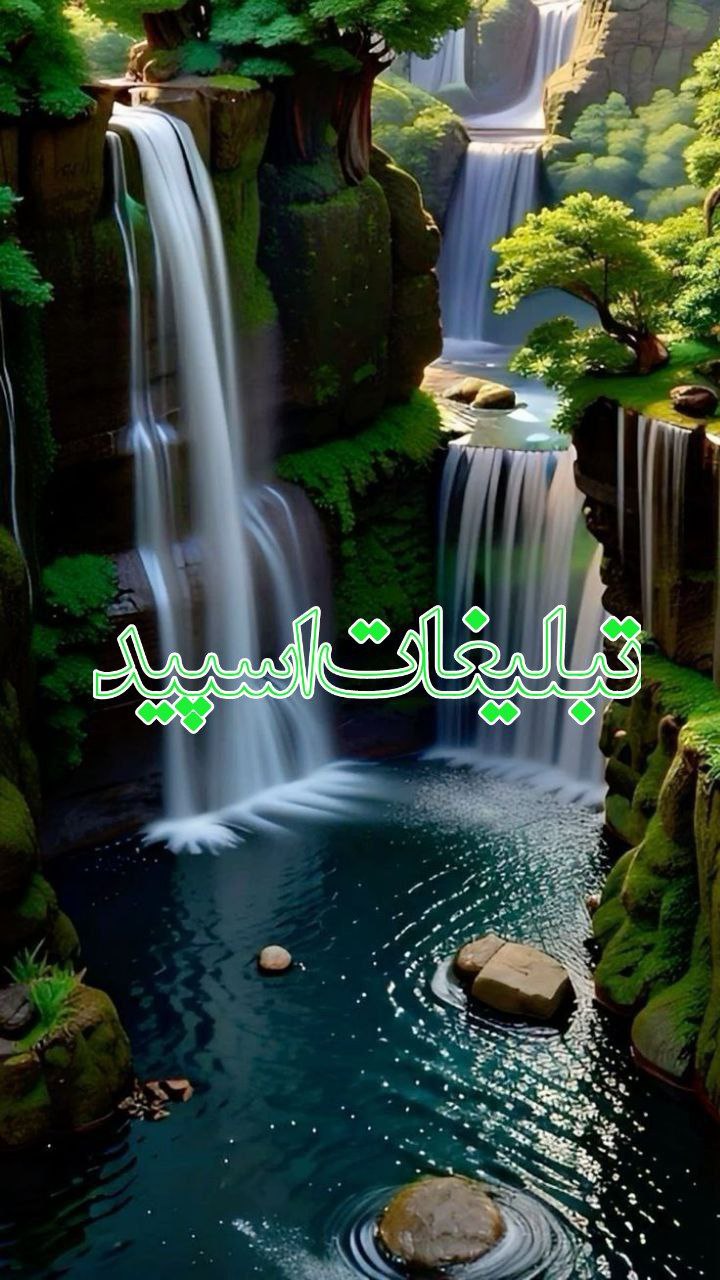 دوستان ماندگار (5)