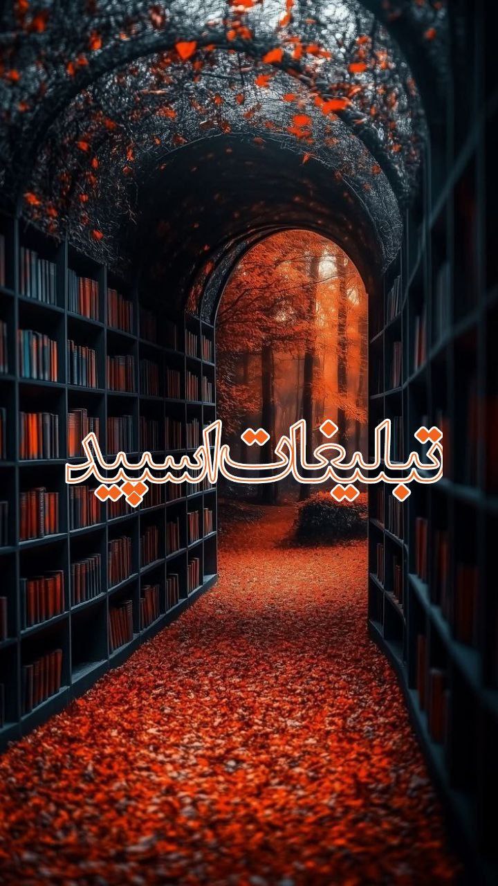 𝖅𝖊𝖗𝖔𝖅𝖔𝖓𝖊 0056 (2)