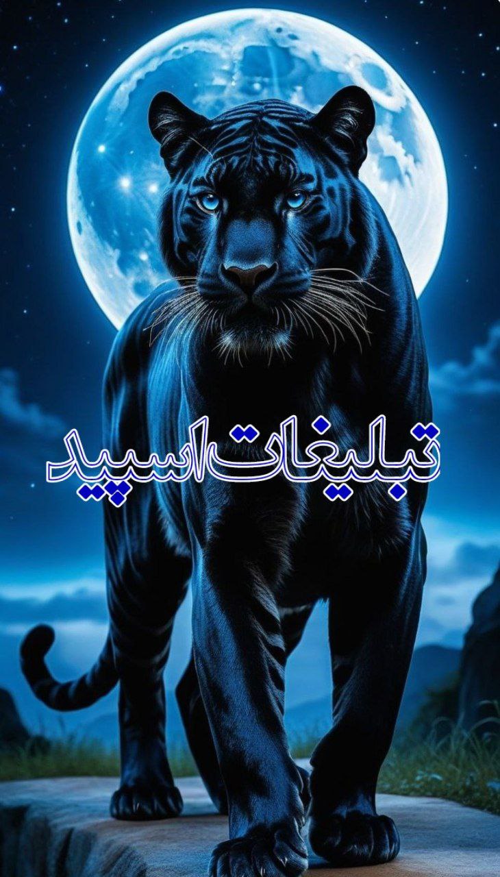 🎀꧁༒𝓒𝓪𝓯𝓮 𝓬𝓱𝓪𝓽༒꧂🎀 (1)