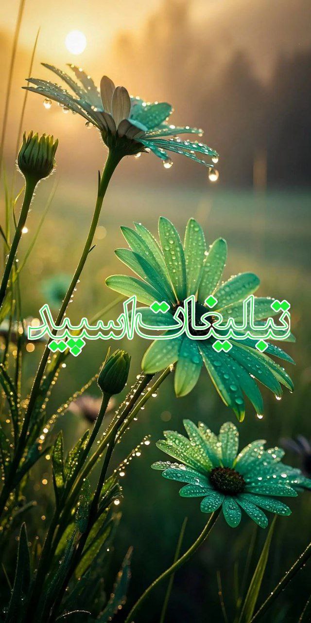 تبلیغات