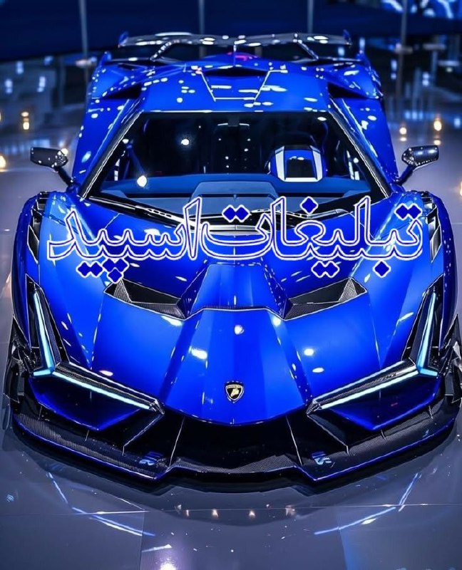 وایلد ولف|WILD WOLF (46)