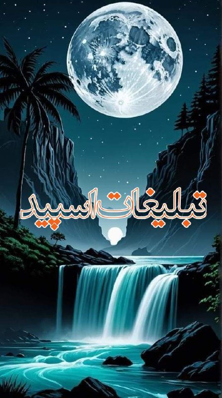 وایلد ولف (262)