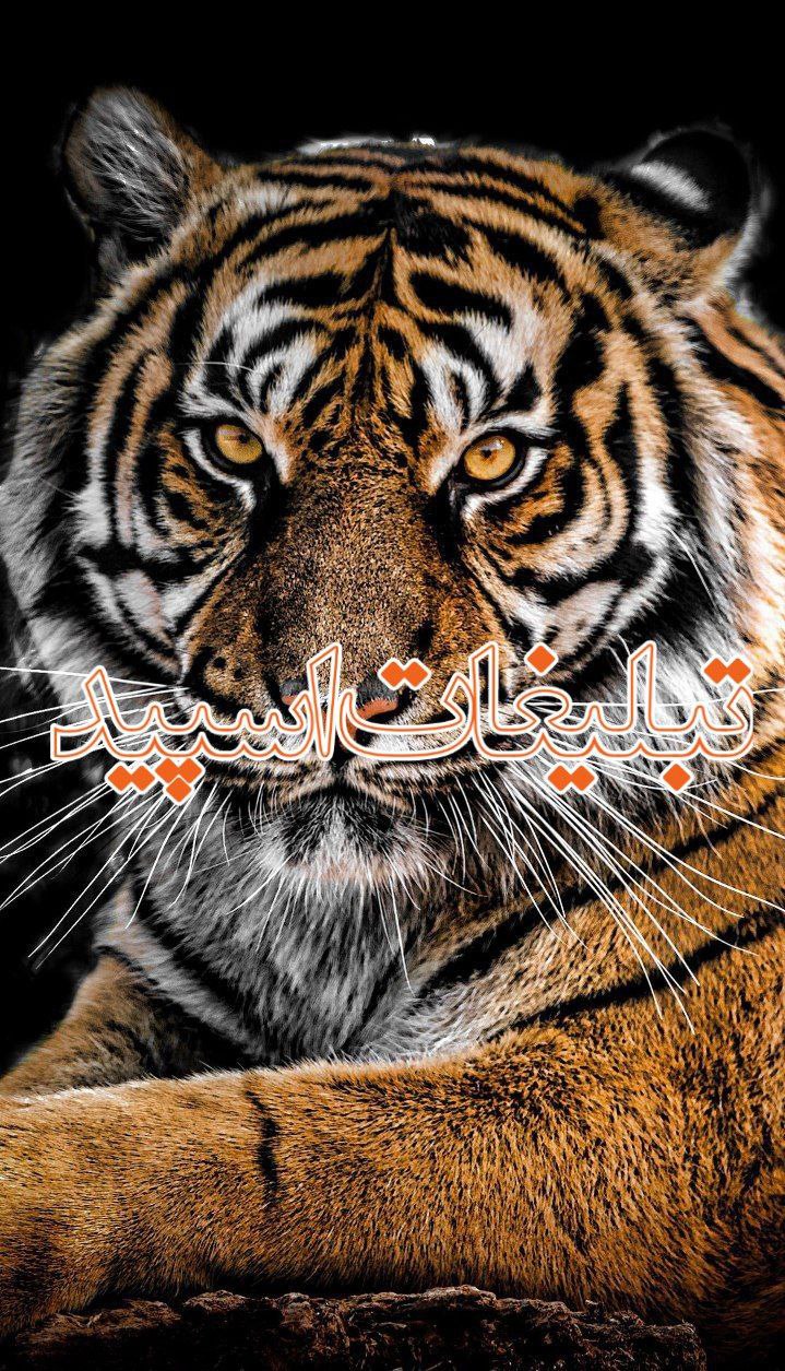 گپ ایتا حدیث عشق