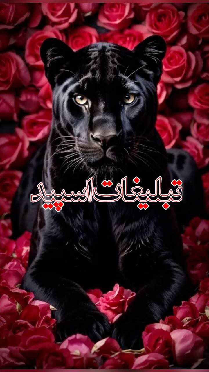 دلهای پاک