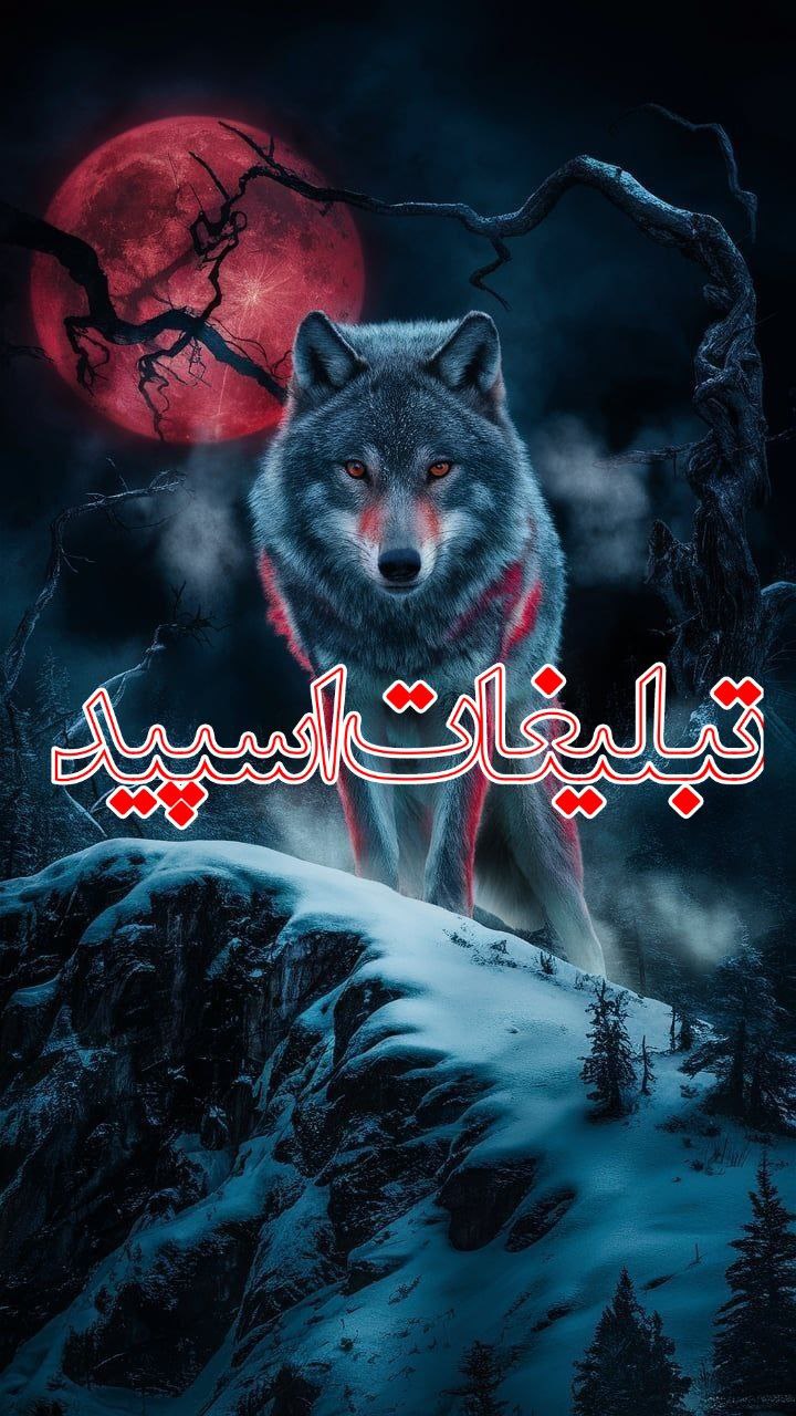 وایلد ولف (31)