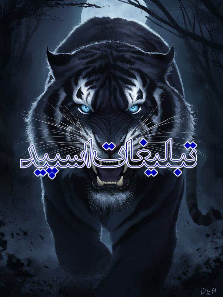 تبلیغات