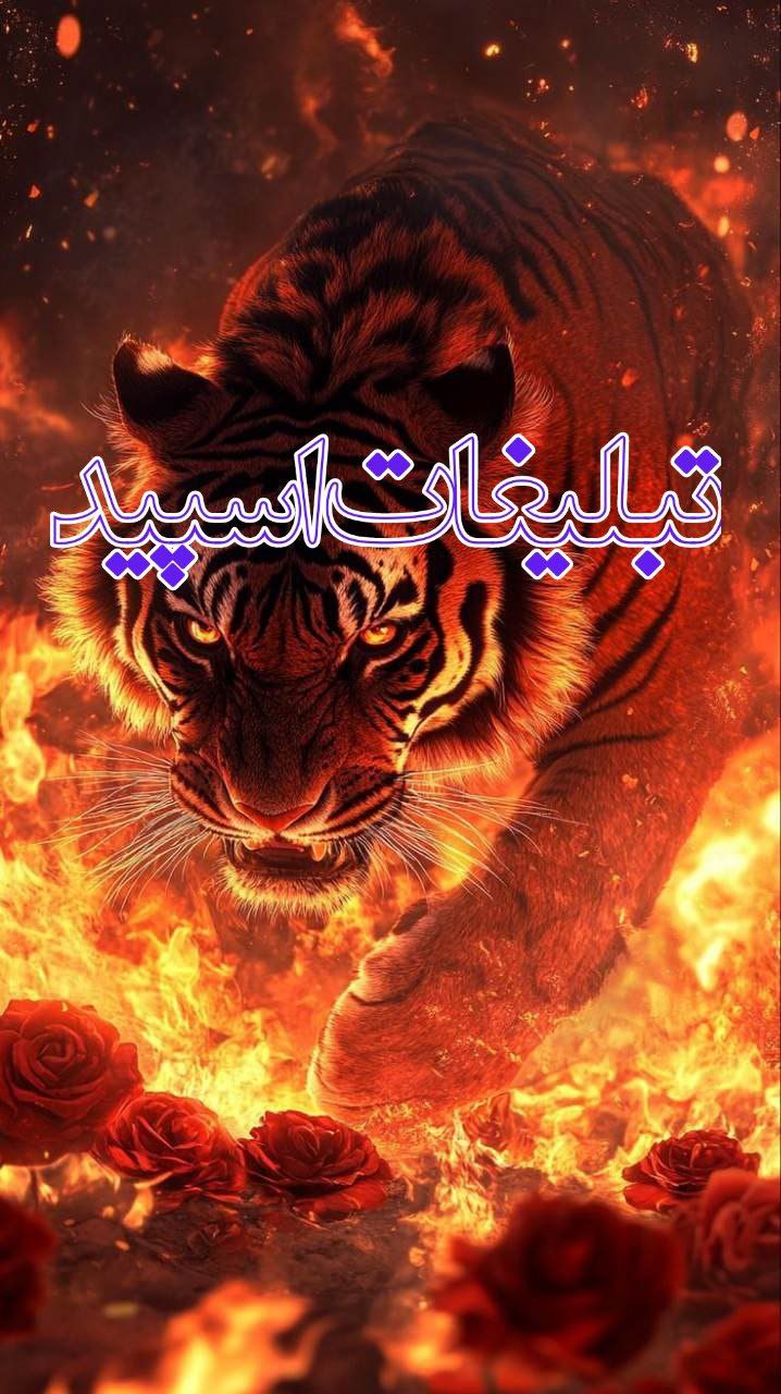 [🍇🍷]ᬉ ⃤♥️ڔۅزهاے عاۺقے♥️🌙ᬉ ⃤🥂] (2)