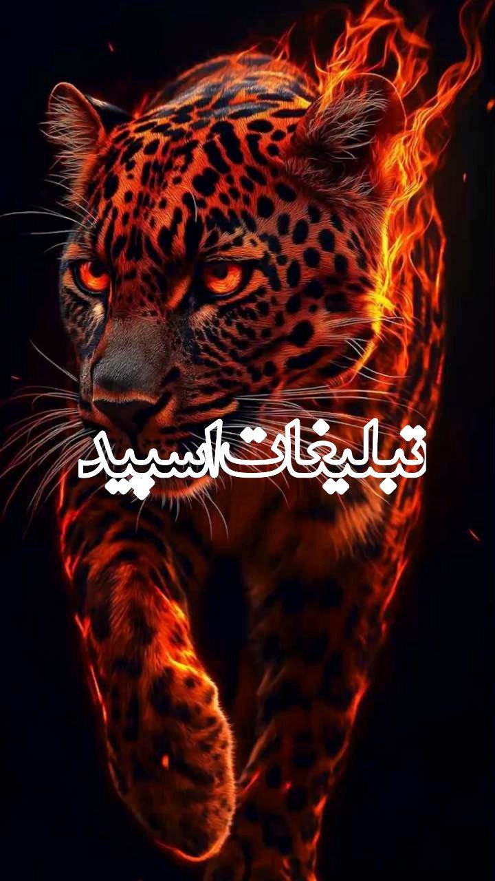 ولف ایرانی (6)