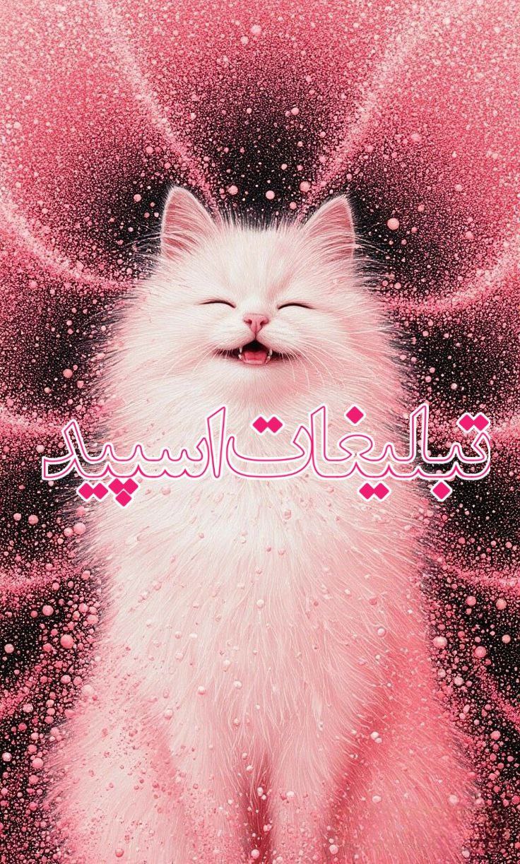 کافه متاهل و مجردها (7)