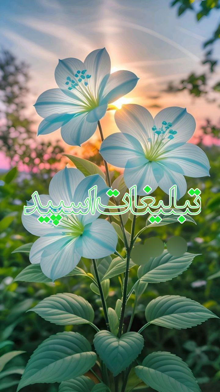 𓄂⍣مٖؒـٰٰیٖؒـٰٰتـیـؒؔنٖؒـگٖؒ👑اٖؒمـٰٰپـٰٰرٖؒاٖؒطٖؒـوٖؒرٖؒی⸙ꠋꠋꠋ᭄𓀚