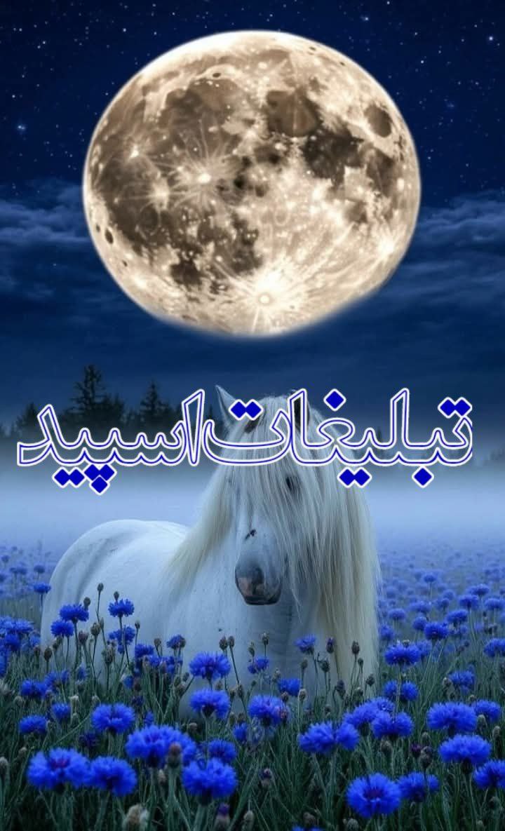 دورهمی بهترین دوستان