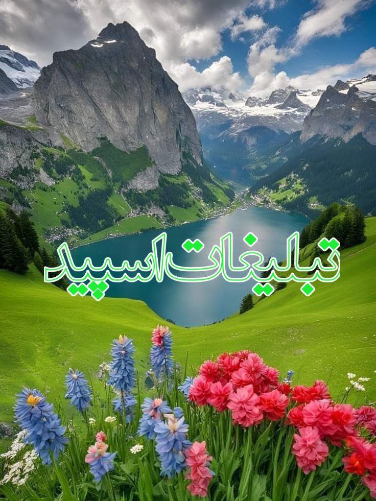 عاشقای لاکچری