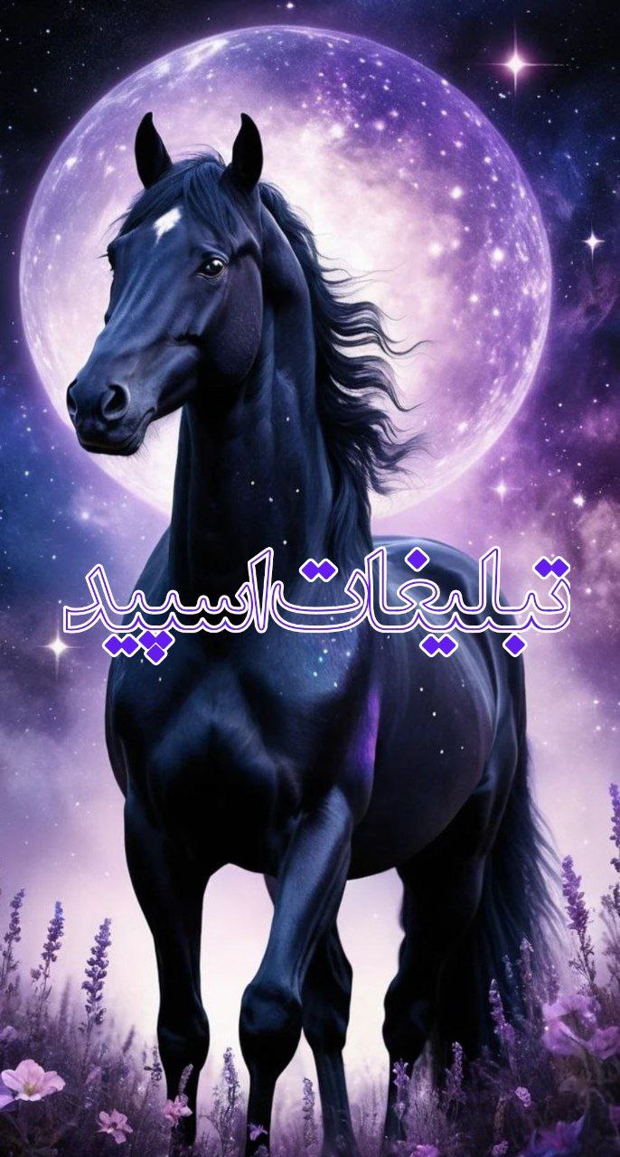 گروه دورهمی تگزاس (8)