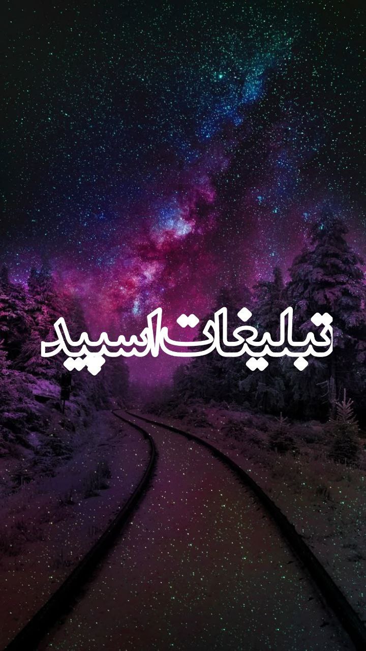 وایلد ولف (342)