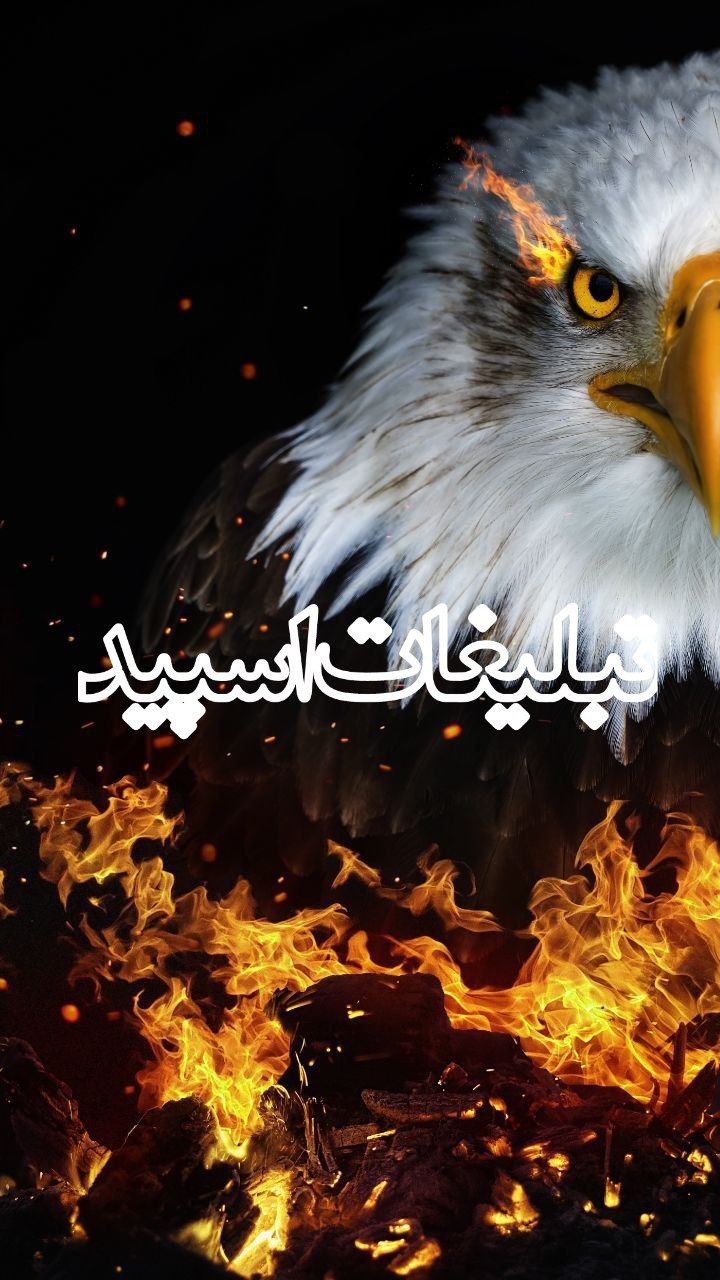 ✨اکـیـپ بـچـه هـای ایـران✨ (2)