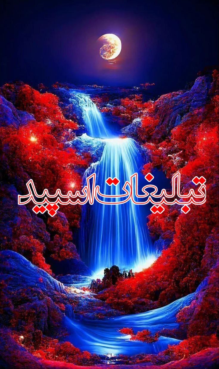 وایلد ولف (337)