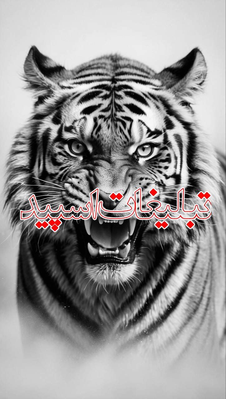 کافه بارونی 🦋