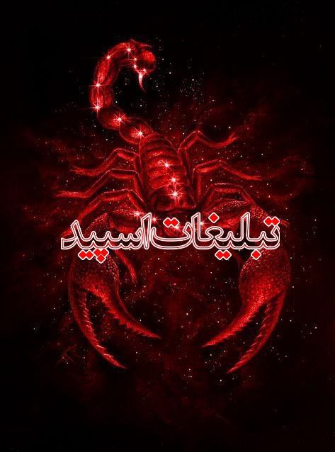 تبلیغات