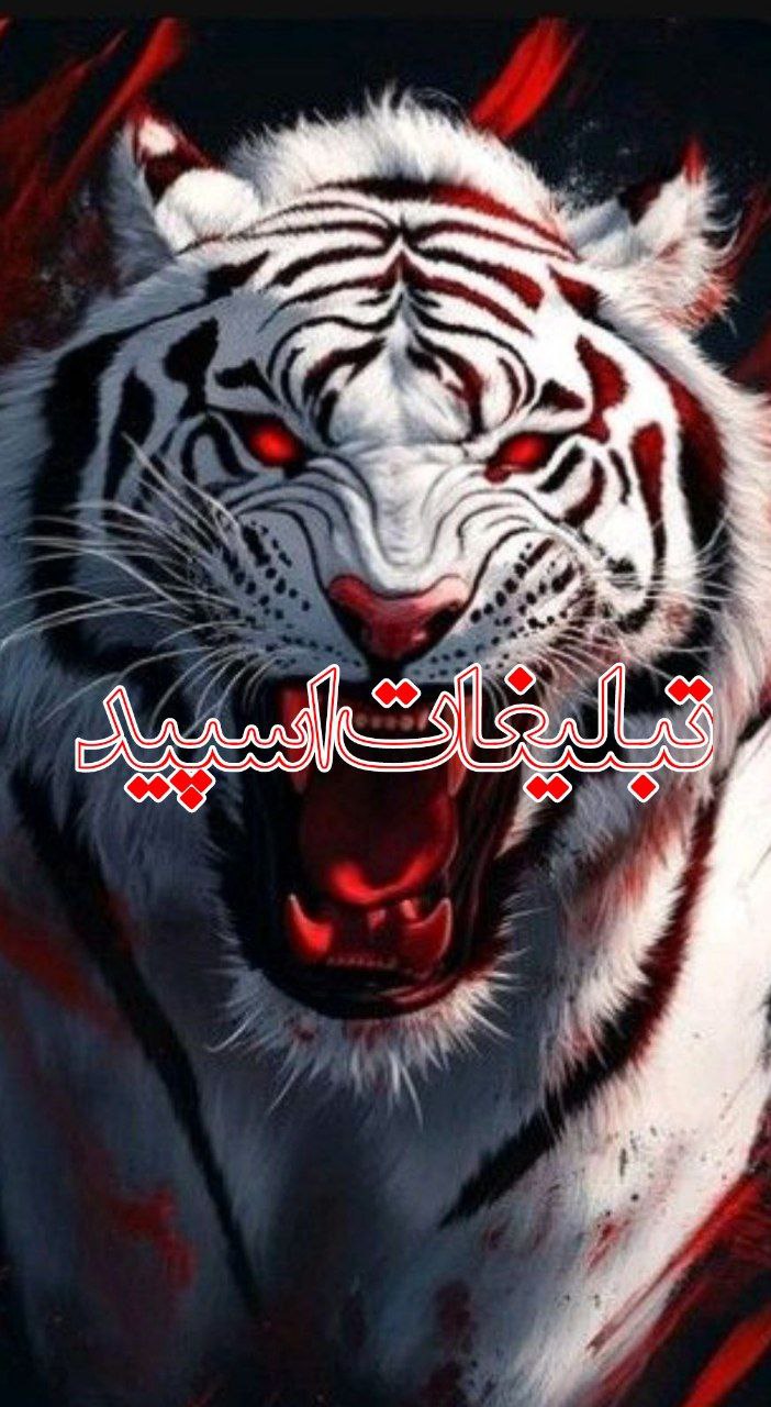 💞 حـٰٖـۘۘــٍٰرٰٖیـٰٖـۘۘــٍٰمۘۘ عـٰٖـۘۘــٍٰشـٰٖـۘۘــٍٰق 💕 (3)