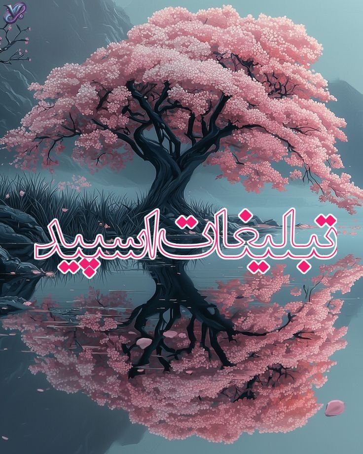 𝓋𝒾𝓅 𝓂𝑒𝒽𝓇𝒹𝒶𝒹 (11)