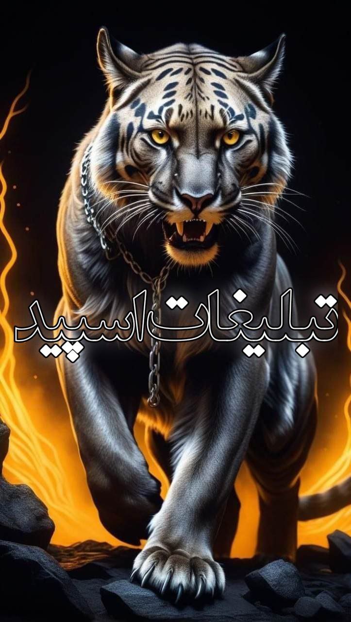 تپش قلب (2)