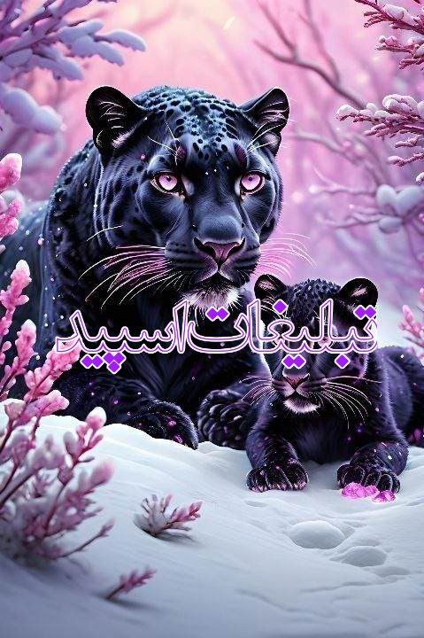 کافه آرامش