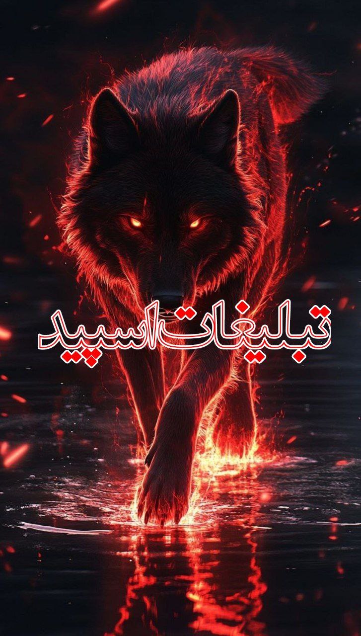 🌹سوتی خونه🌹
