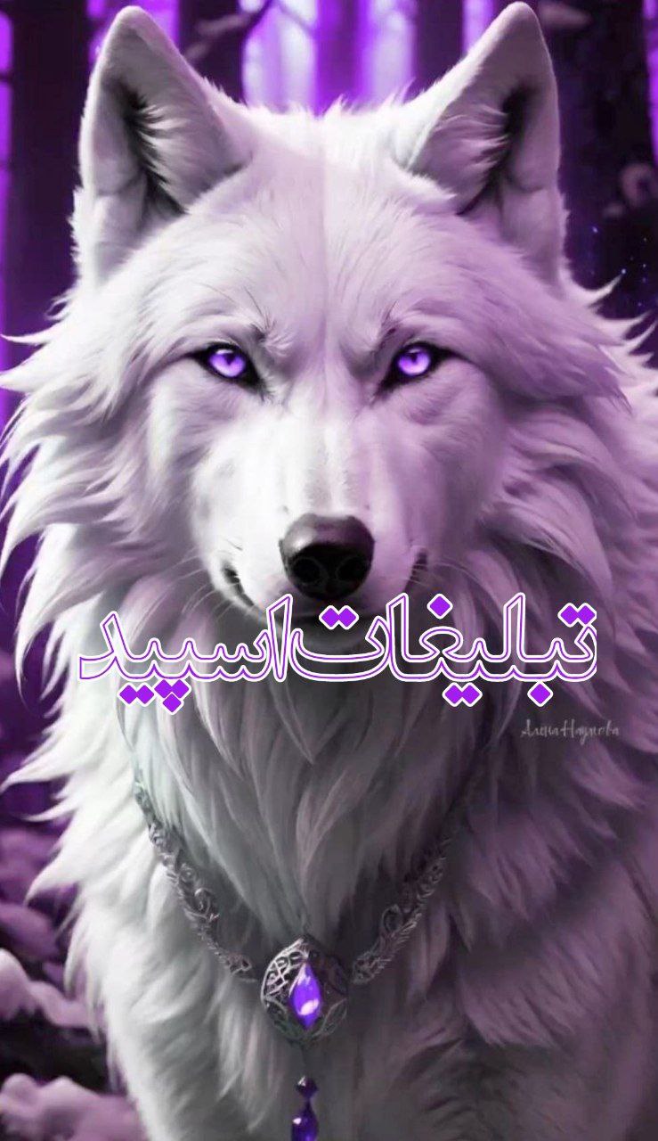 تبلیغات