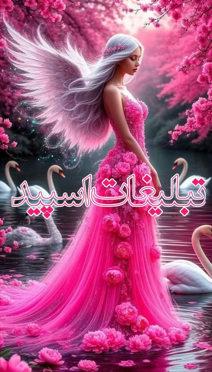 شب نشینی پلنگ
