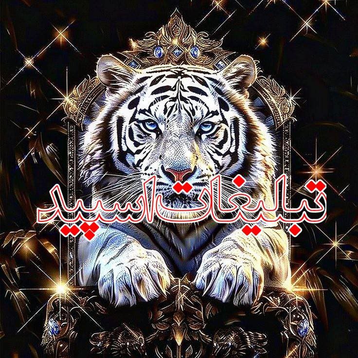 ❤️لاکچریای شیرازی ❤️