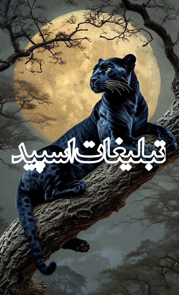 『ᭂܩࡅ࡙ߺࡅߺ߳ـٖٜ𝘽𝗢𝗡𝙕𝘼𝒀ـٖٜࡅ࡙ࡅ࣪ࡏަߺࡉ≛❥ 』 (4)