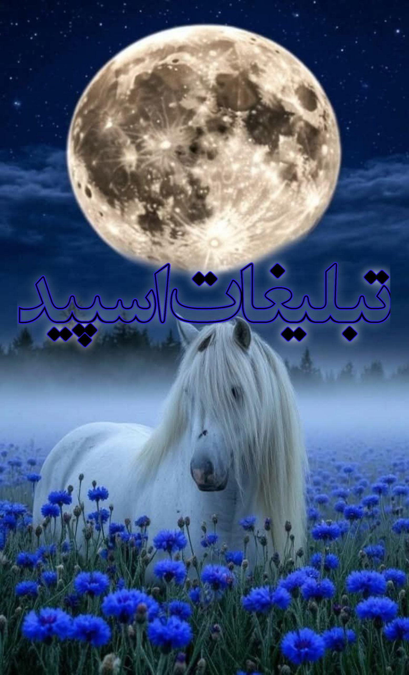 تبلیغات