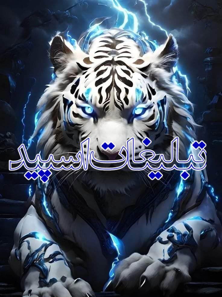 𝗖𝗮𝗽𝗶𝘁𝗮𝗹 𝗕