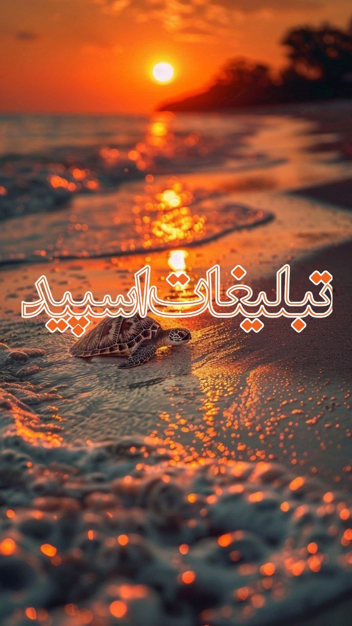 🎀𝓆𝓊𝑒𝑒𝓃 𝒱𝑒𝓃𝓊𝓈🎀 (5)