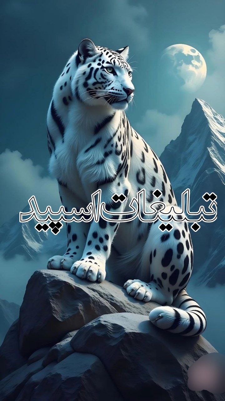تبلیغات