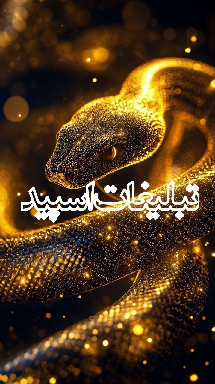 🌺🌺گروه باجنبه های شیطون.دهه 50..60..70 🌺🌺 (1)