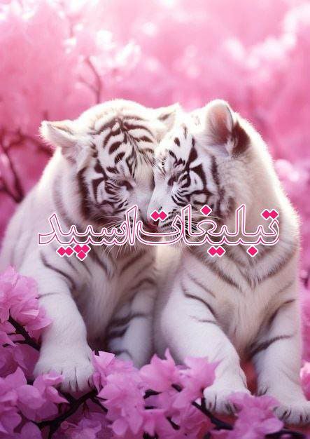 تبلیغات