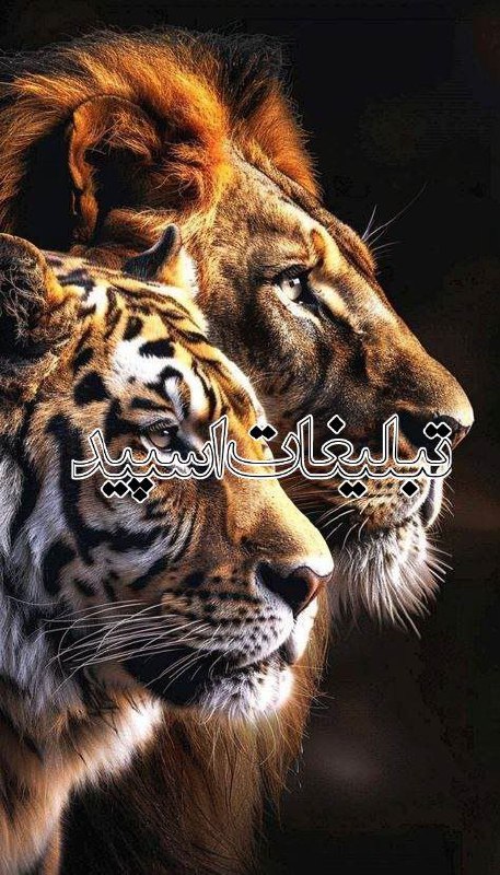 دورهمی 💖