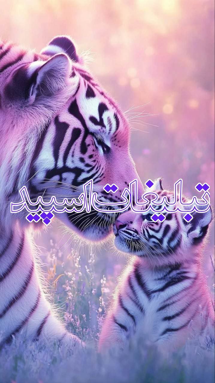 ❣️ ,, 𝓐𝔪𝓞𝓡 ,,❣️