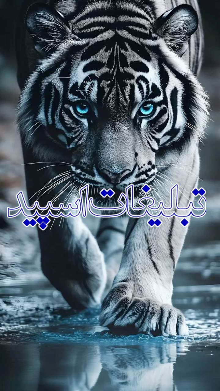 دورهمی (28)