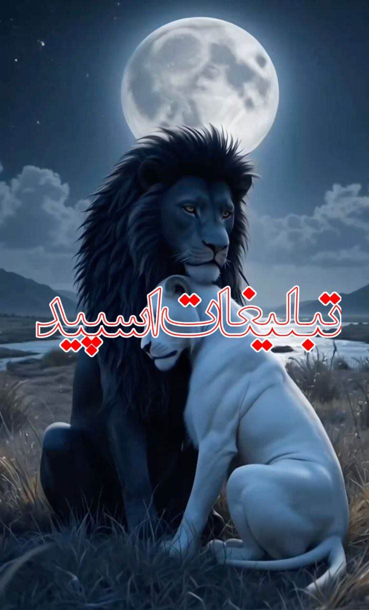 𓄂ꪴꪰ☾︎⃝⋆❤️𝐌𝐢𝐭ࡅ࡙ߺߊ‌‌❟ܝ‌𝐢𝐧𝐠❤️☾︎⃝⋆٭𓆃 (1)