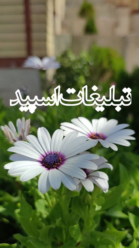 تبلیغات